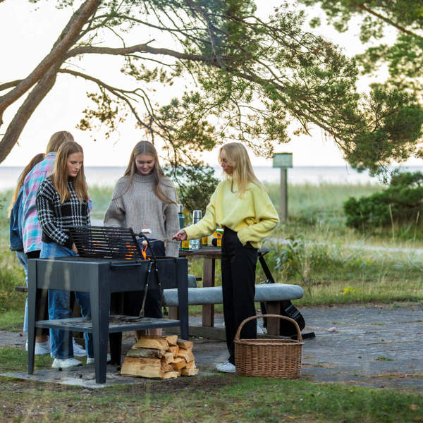 grillkväll ljugarn